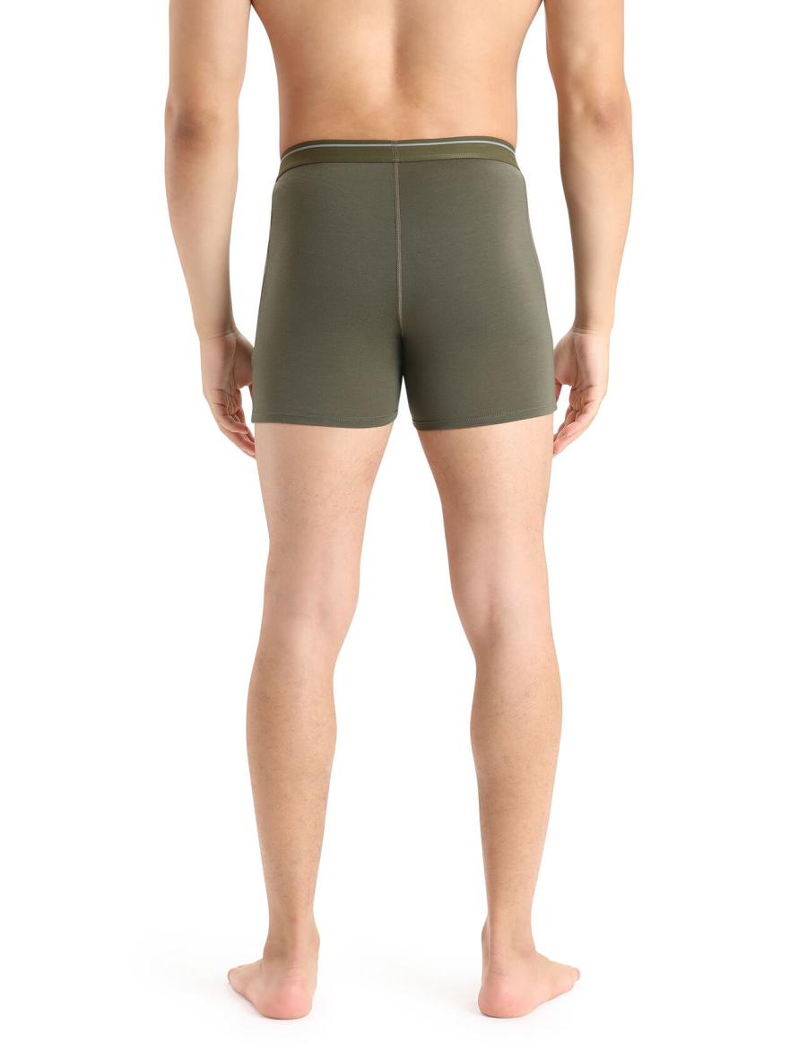 Loden Men's Icebreaker Merino Anatomica Boxers Underwear | USA 1313EBCX